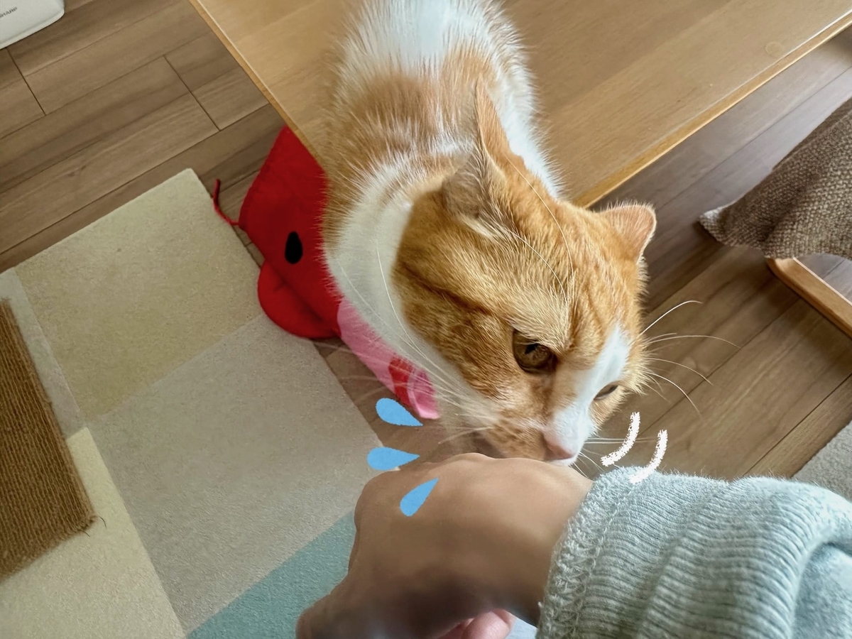 ぺろぺろるるちゃん2