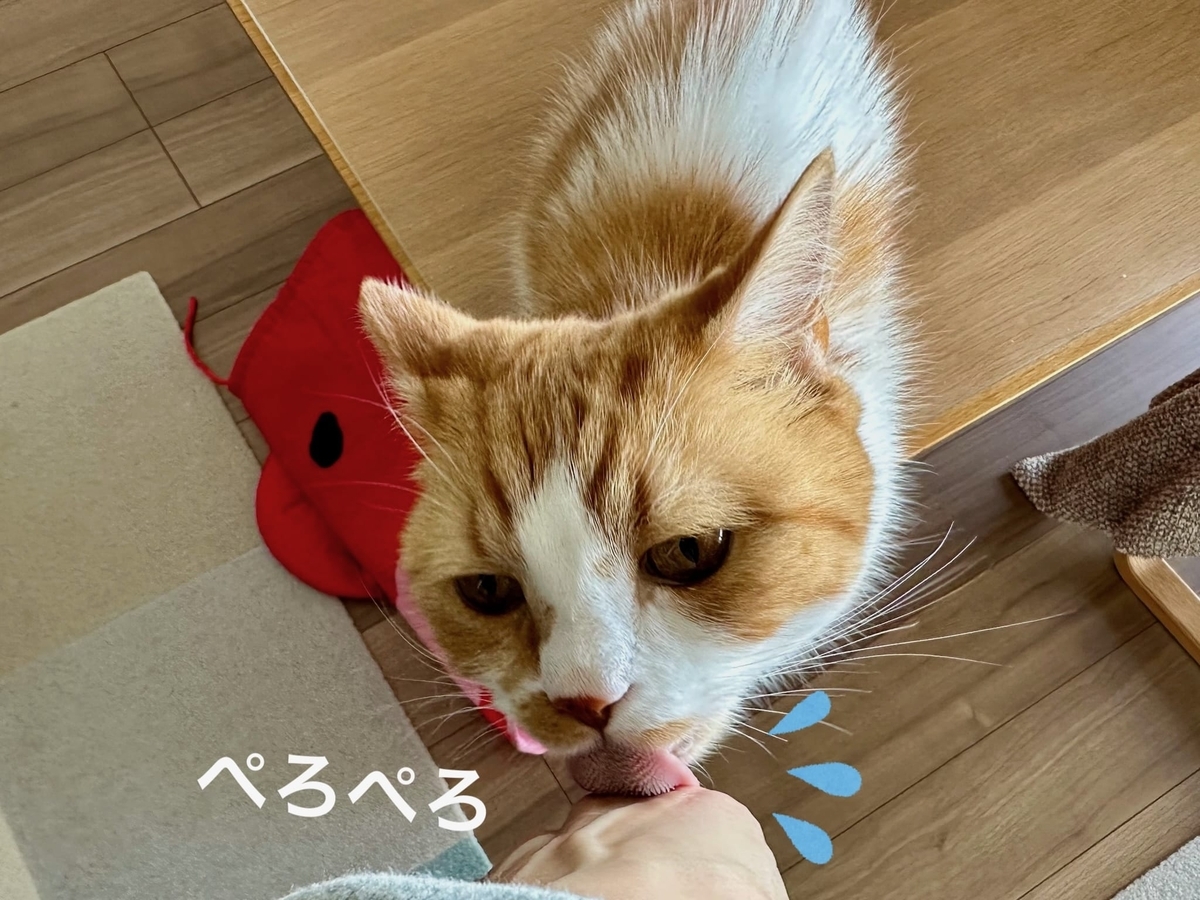 ぺろぺろるるちゃん1