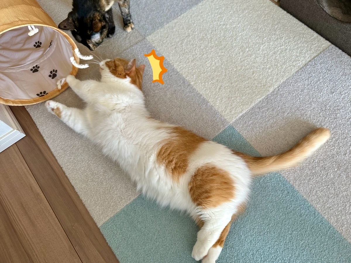 近づくるるもな1