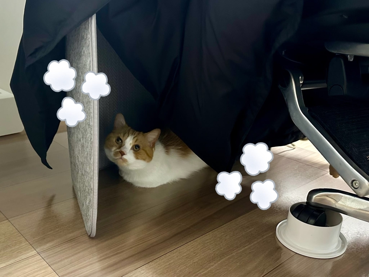 パネルヒーターで温まるるるちゃん