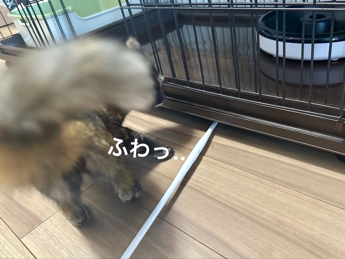 ケージ下のおもちゃを救出2