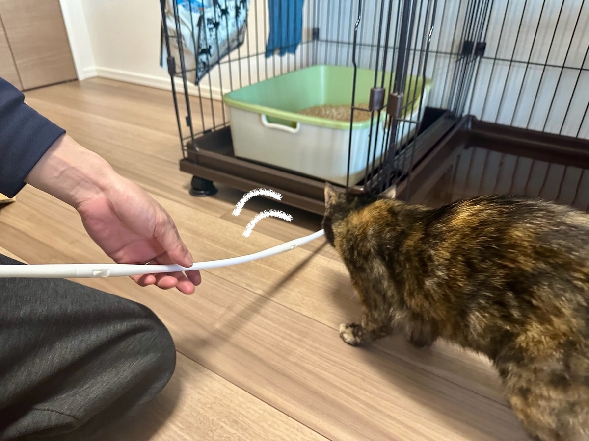 ケージ下のおもちゃを救出1