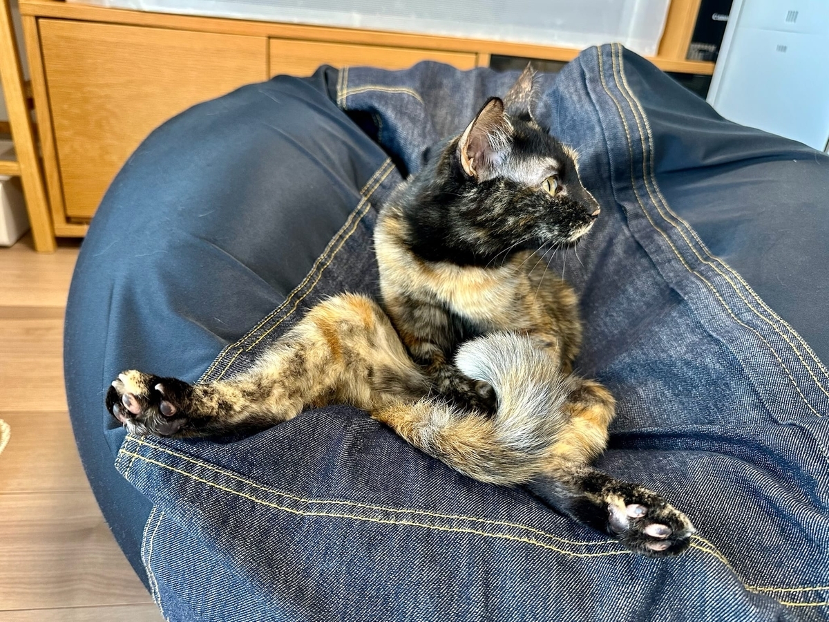 リラックスしまくりのもなちゃん3