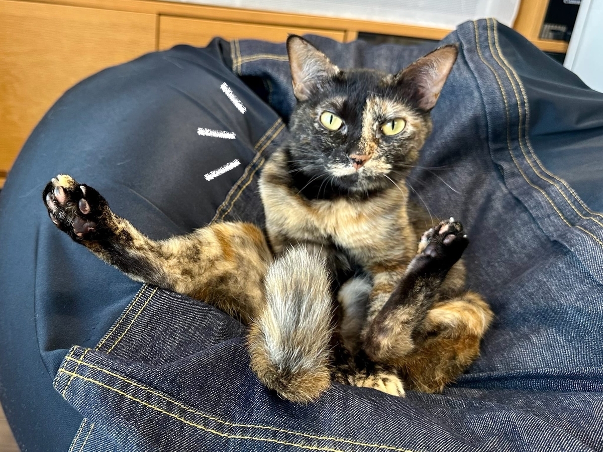 リラックスしまくりのもなちゃん1
