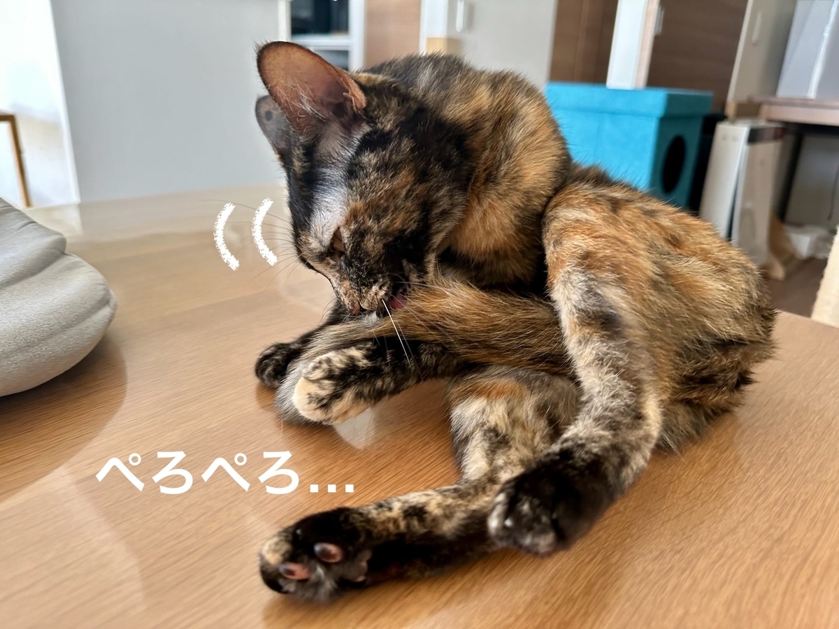 しっぽのお手入れ