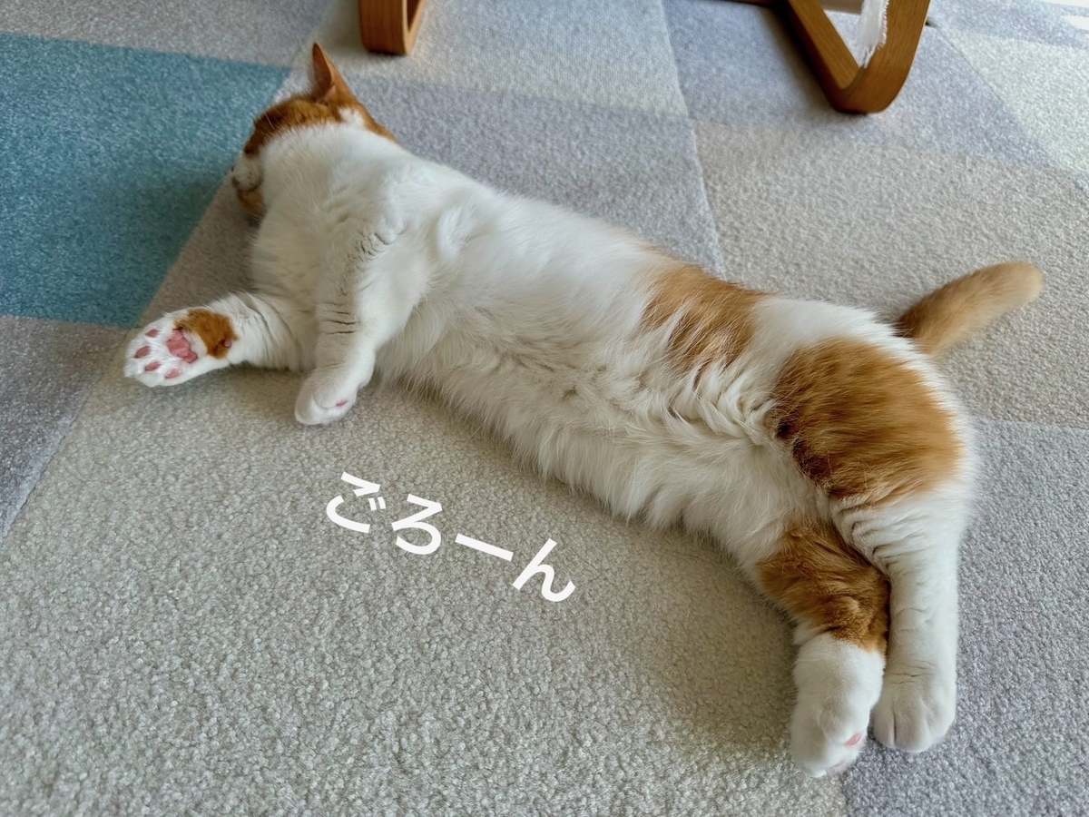 転がるるるちゃん