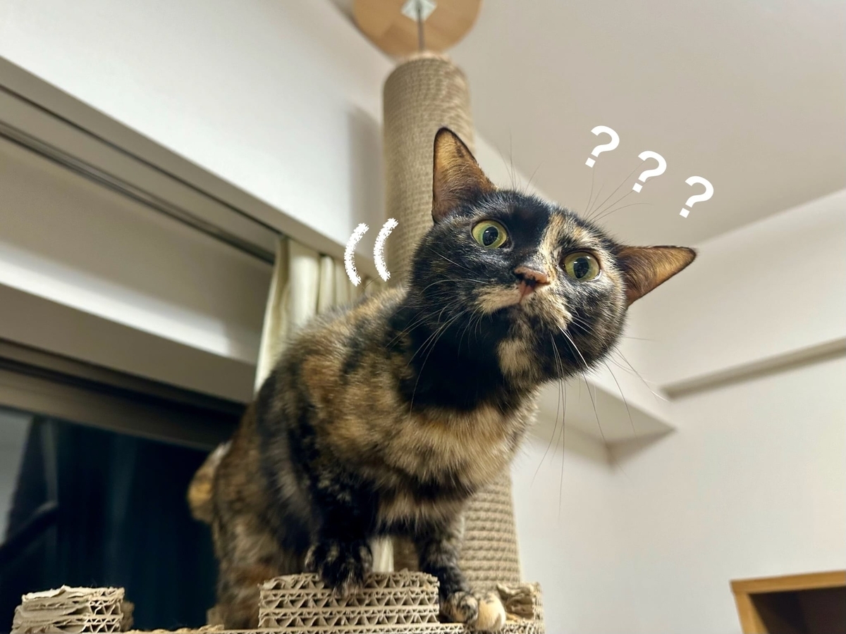 気になるもなちゃん2