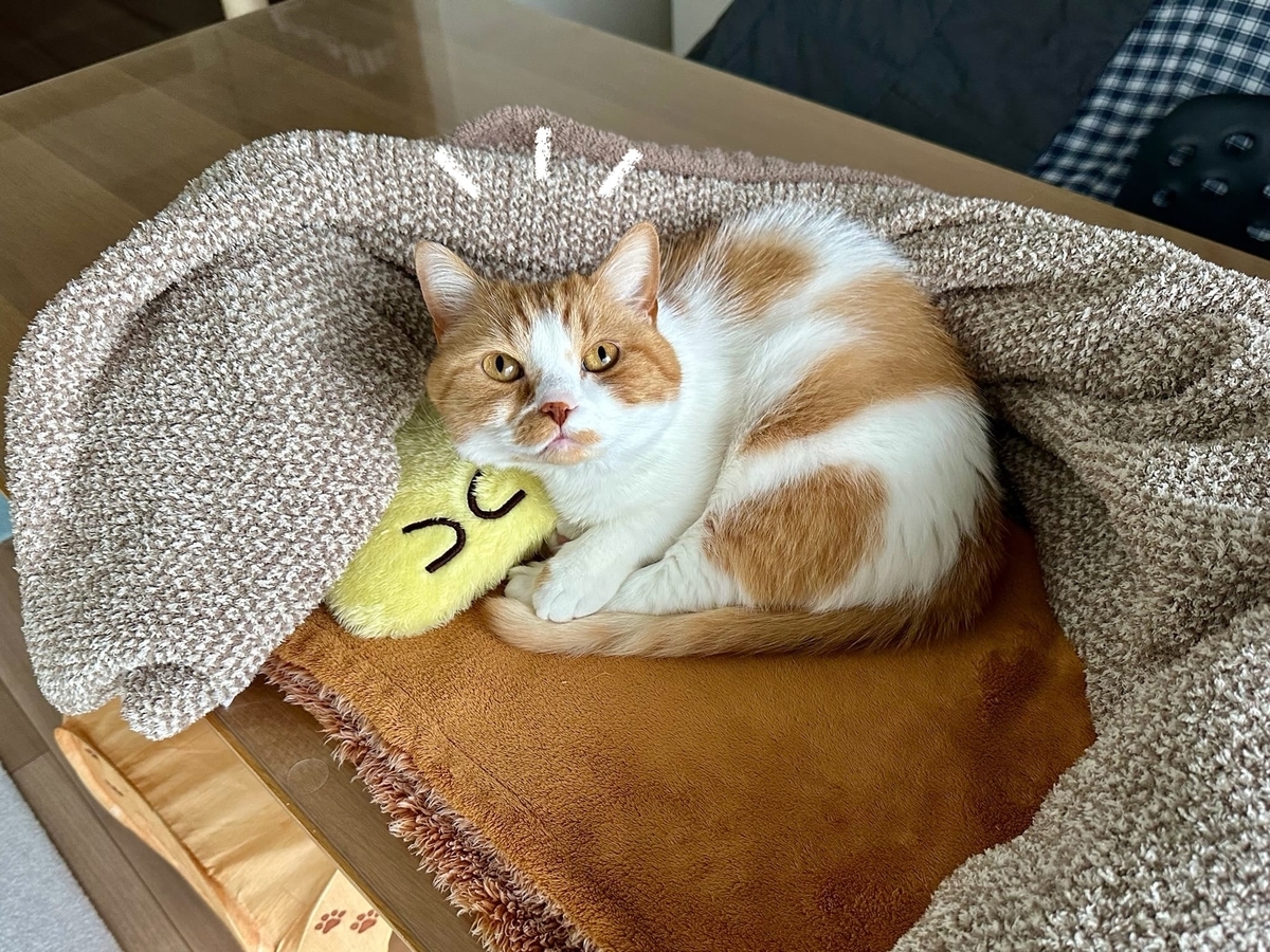 まるまるるるちゃん