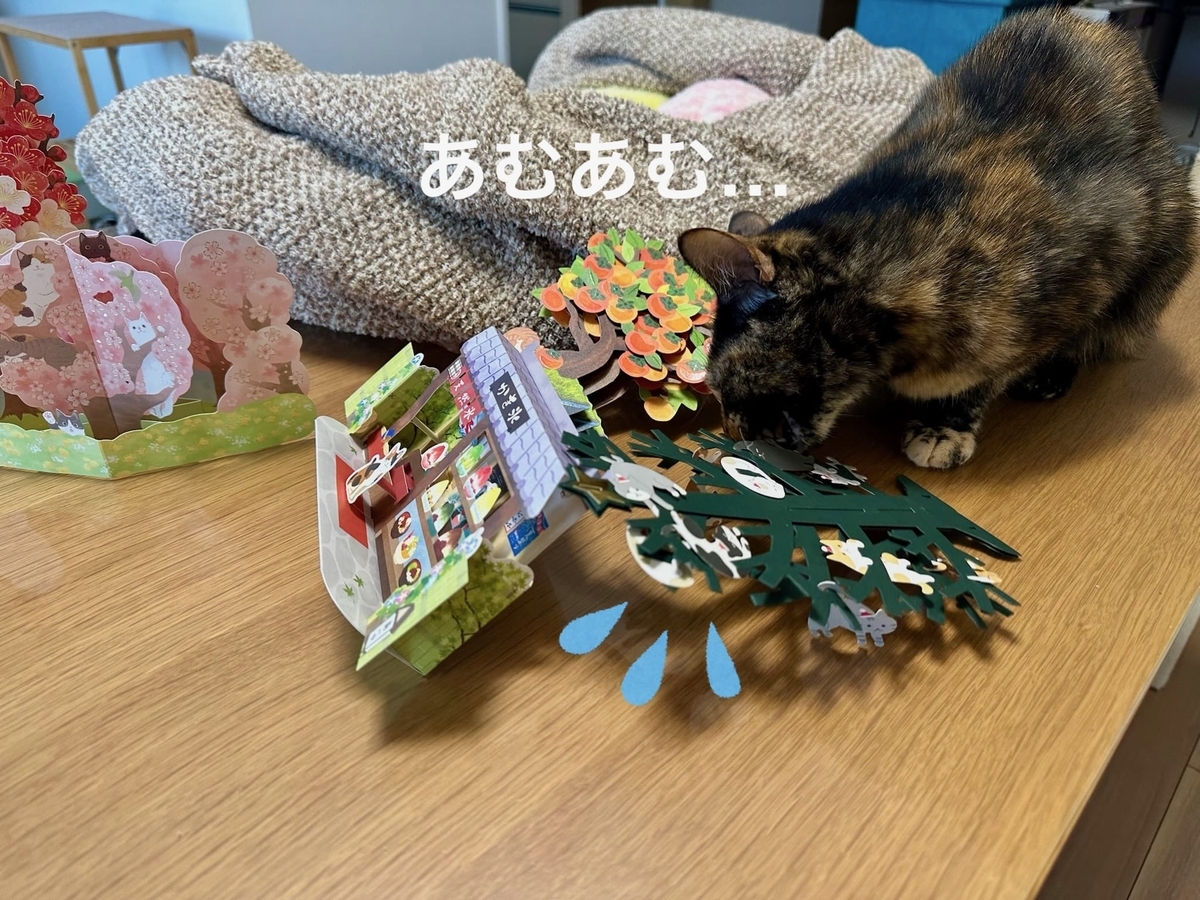 カードを倒すもなちゃん