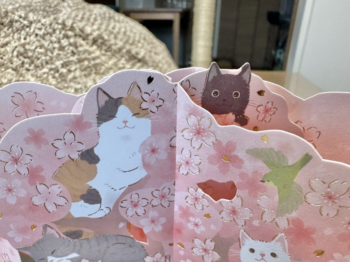 桜と猫さんのグリーティングカード