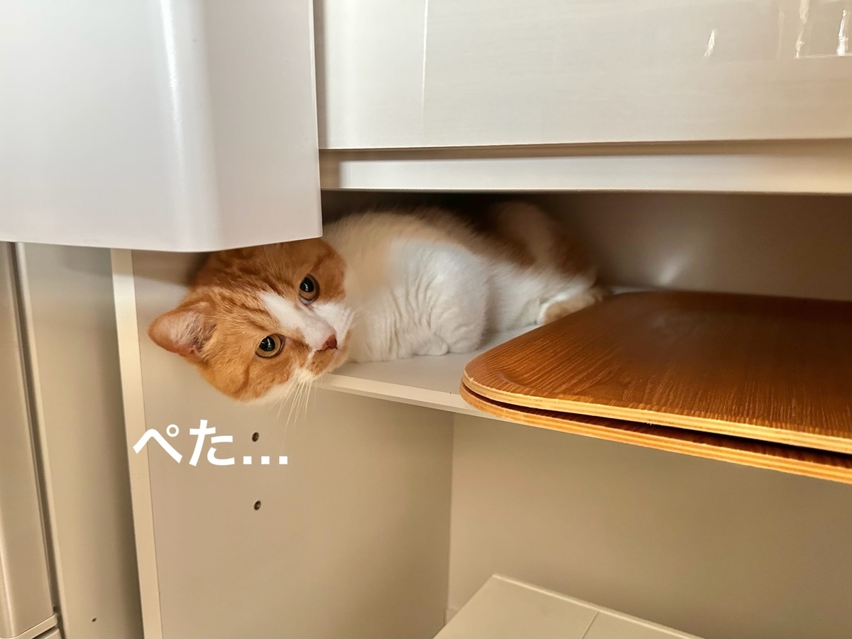 ねこねこキッチン探検隊2