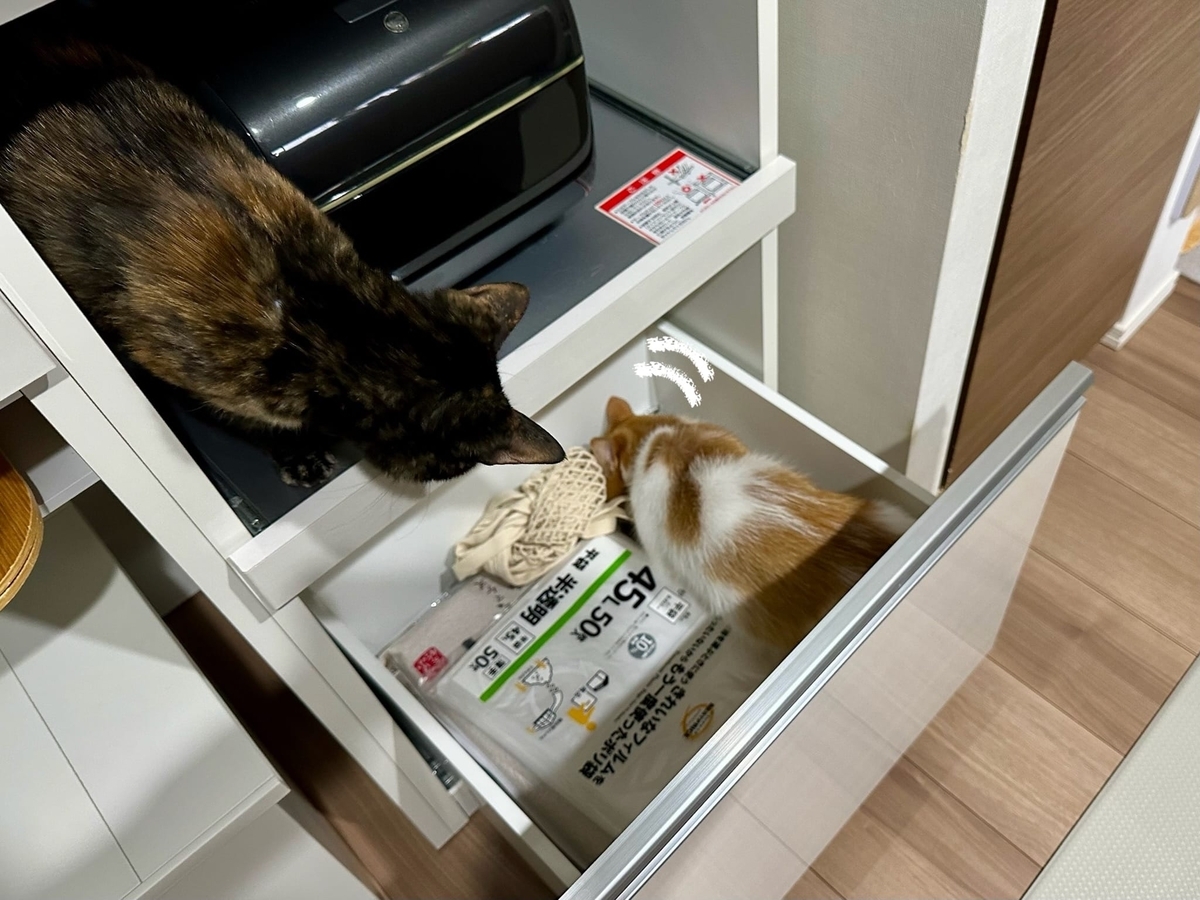 ねこねこキッチン探検隊1