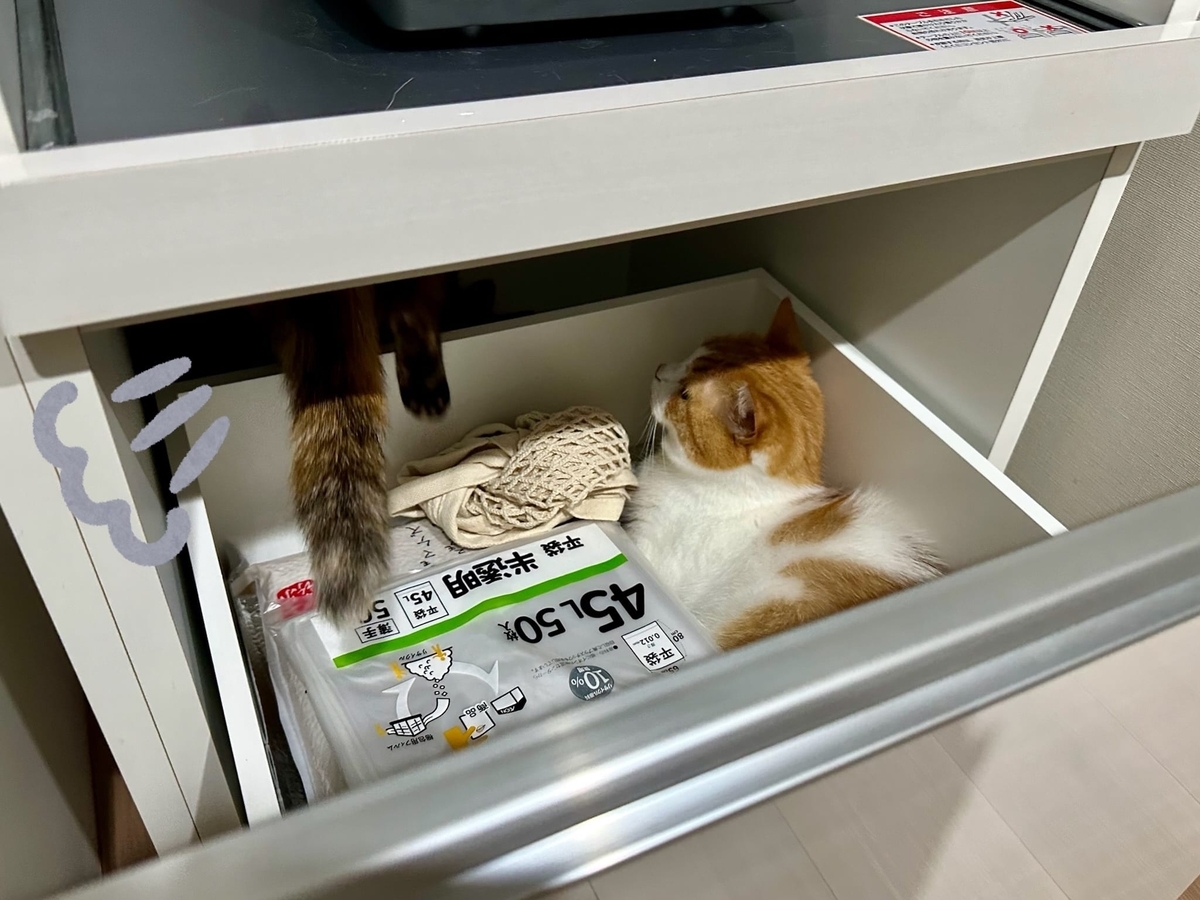 ねこねこキッチン探検隊3