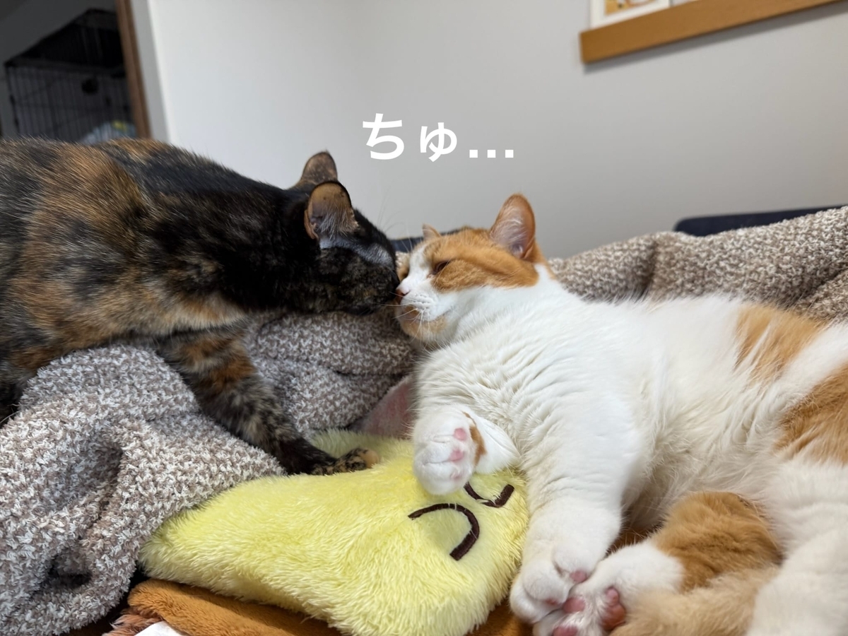 るるもなのイチャイチャ2
