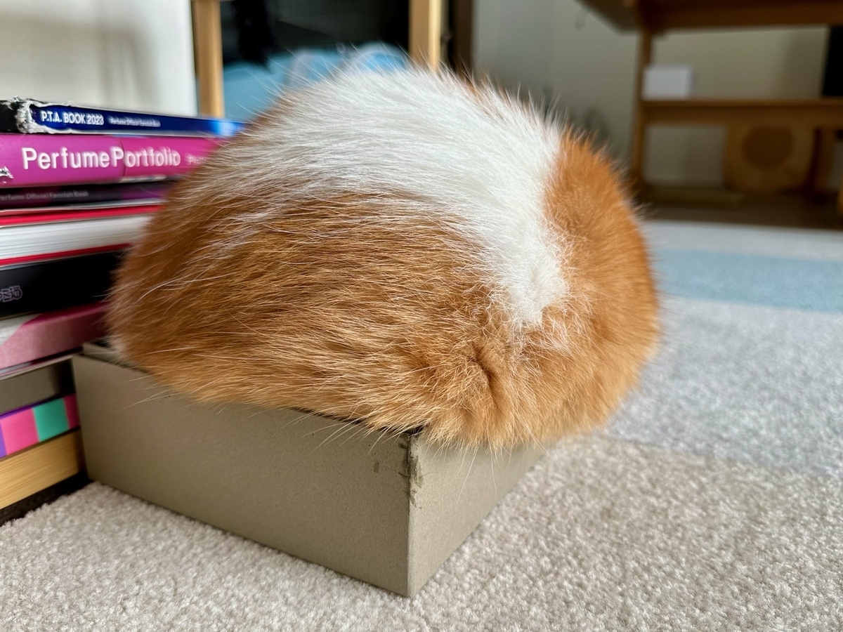まんまるるるちゃん