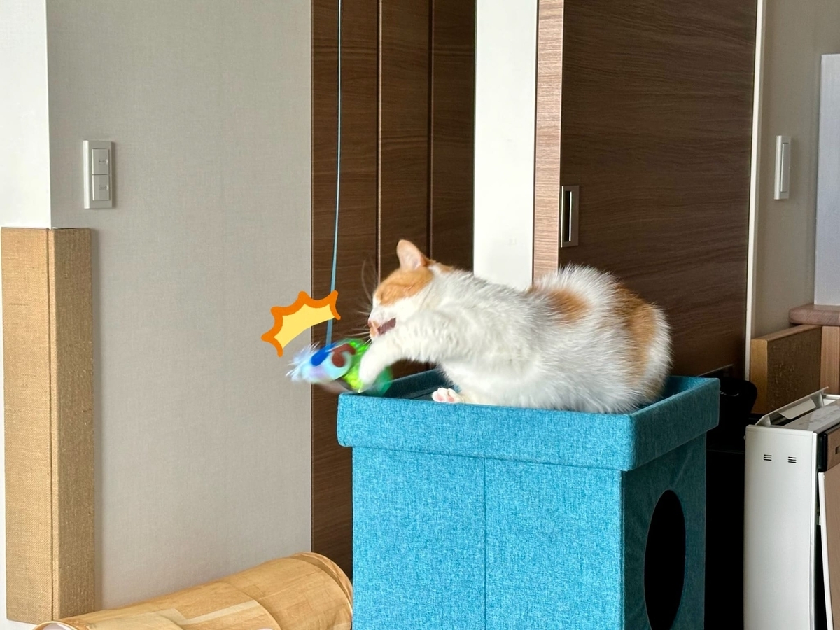 おもちゃタイムのるるちゃん