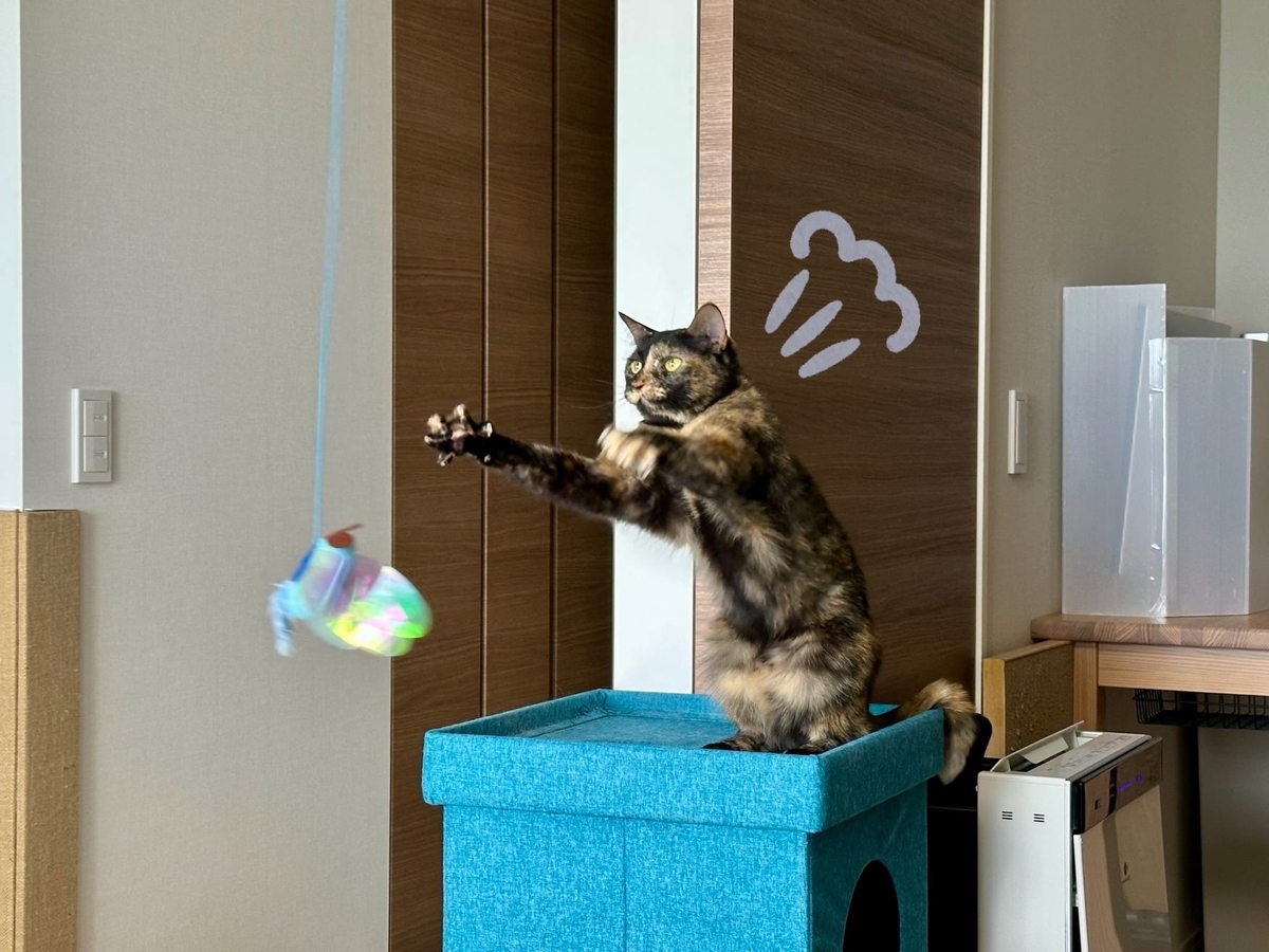 おもちゃタイムのもなちゃん1