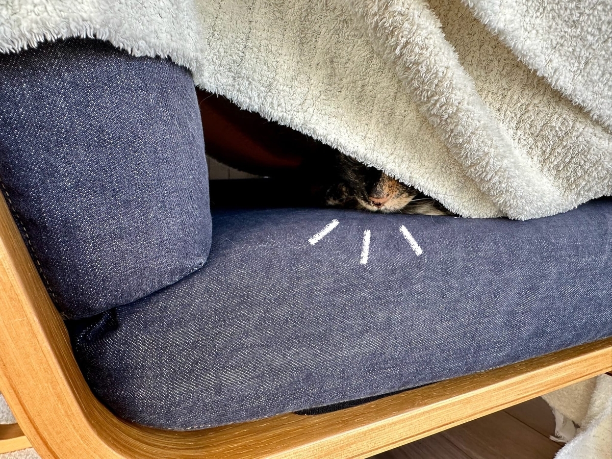 毛布の中に潜むもなちゃん