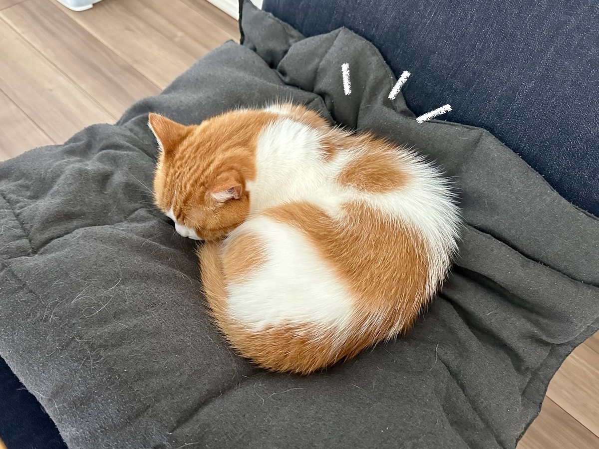 まんまるるるちゃん1