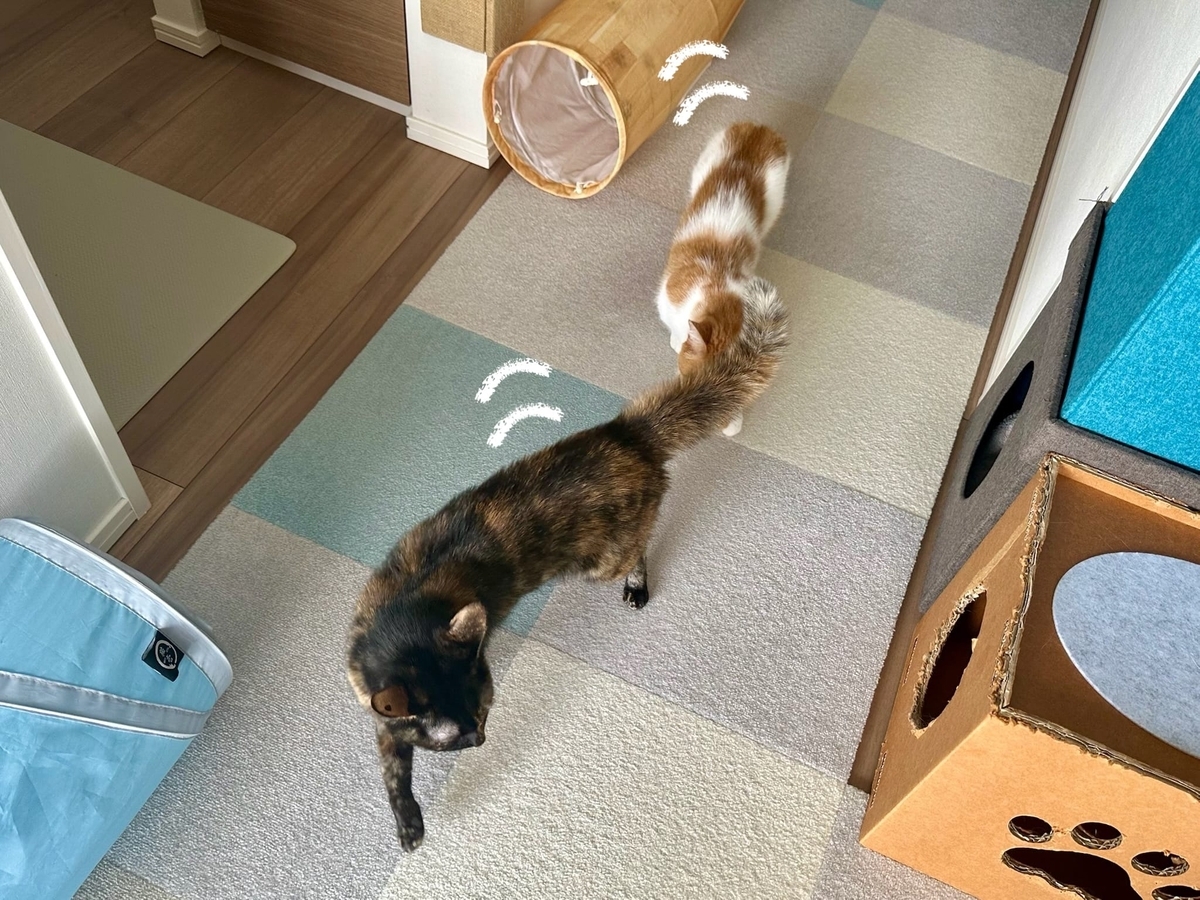 ぽんぽこしっぽのもなちゃん1