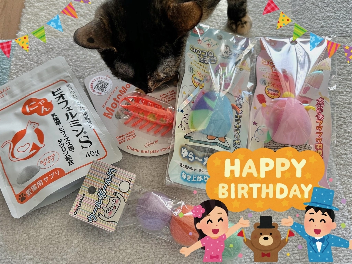 3歳のお誕生日のもなちゃん