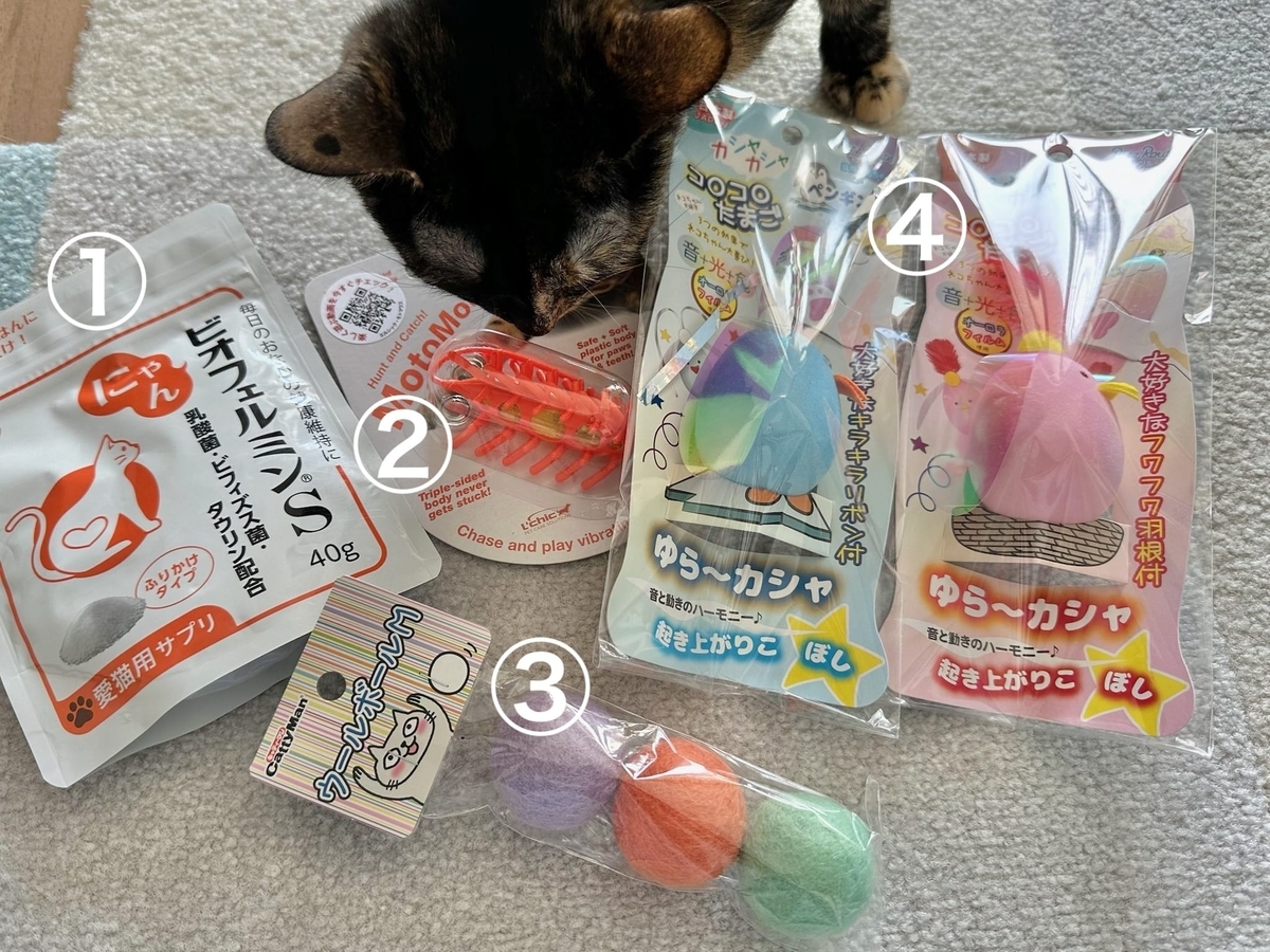 もなちゃんのお誕生日プレゼント