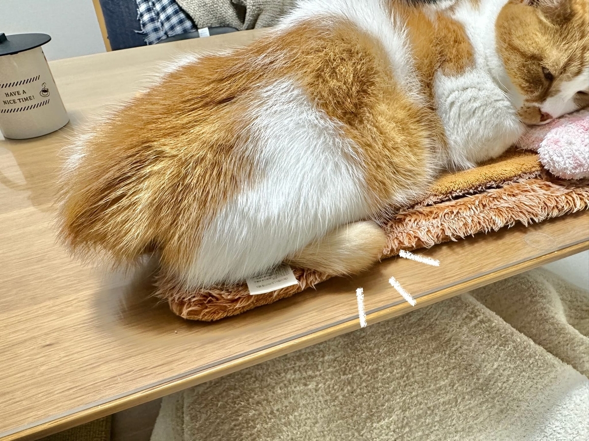 お昼寝タイムのるるちゃん2