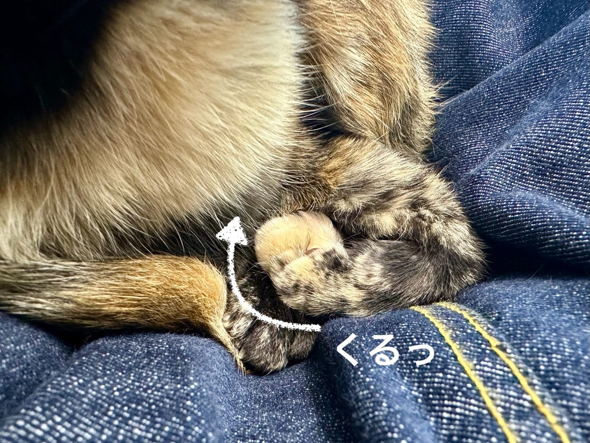 お隣のもなちゃん2