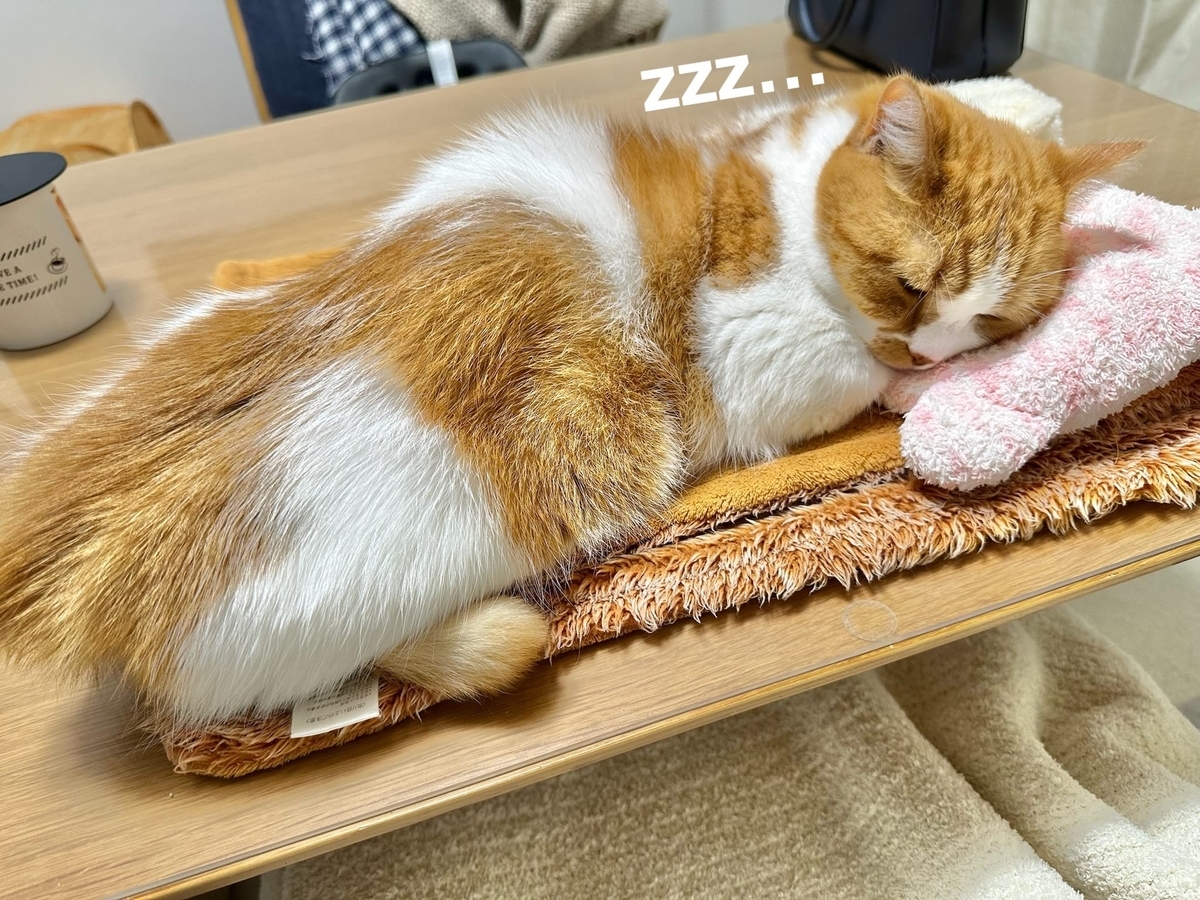 お昼寝タイムのるるちゃん1