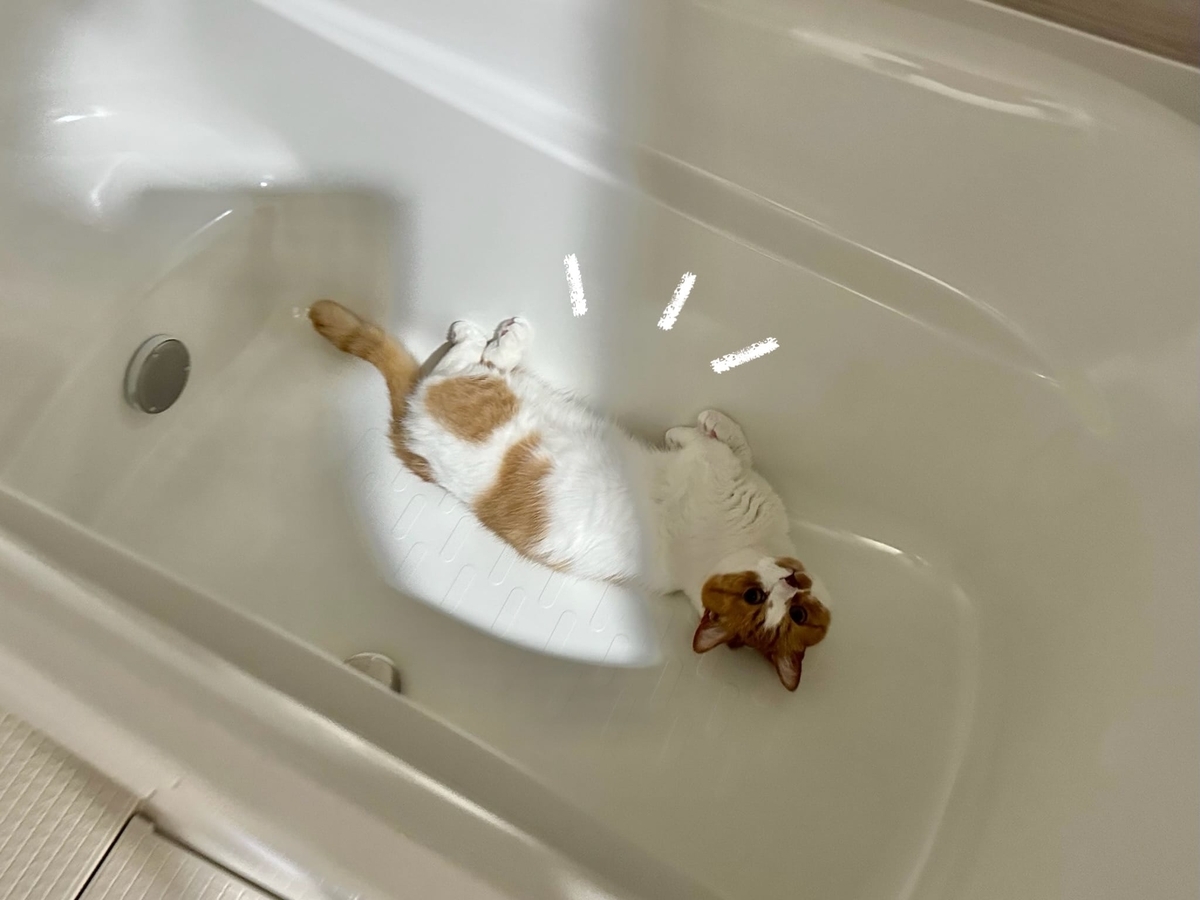 お風呂場のるるちゃん1