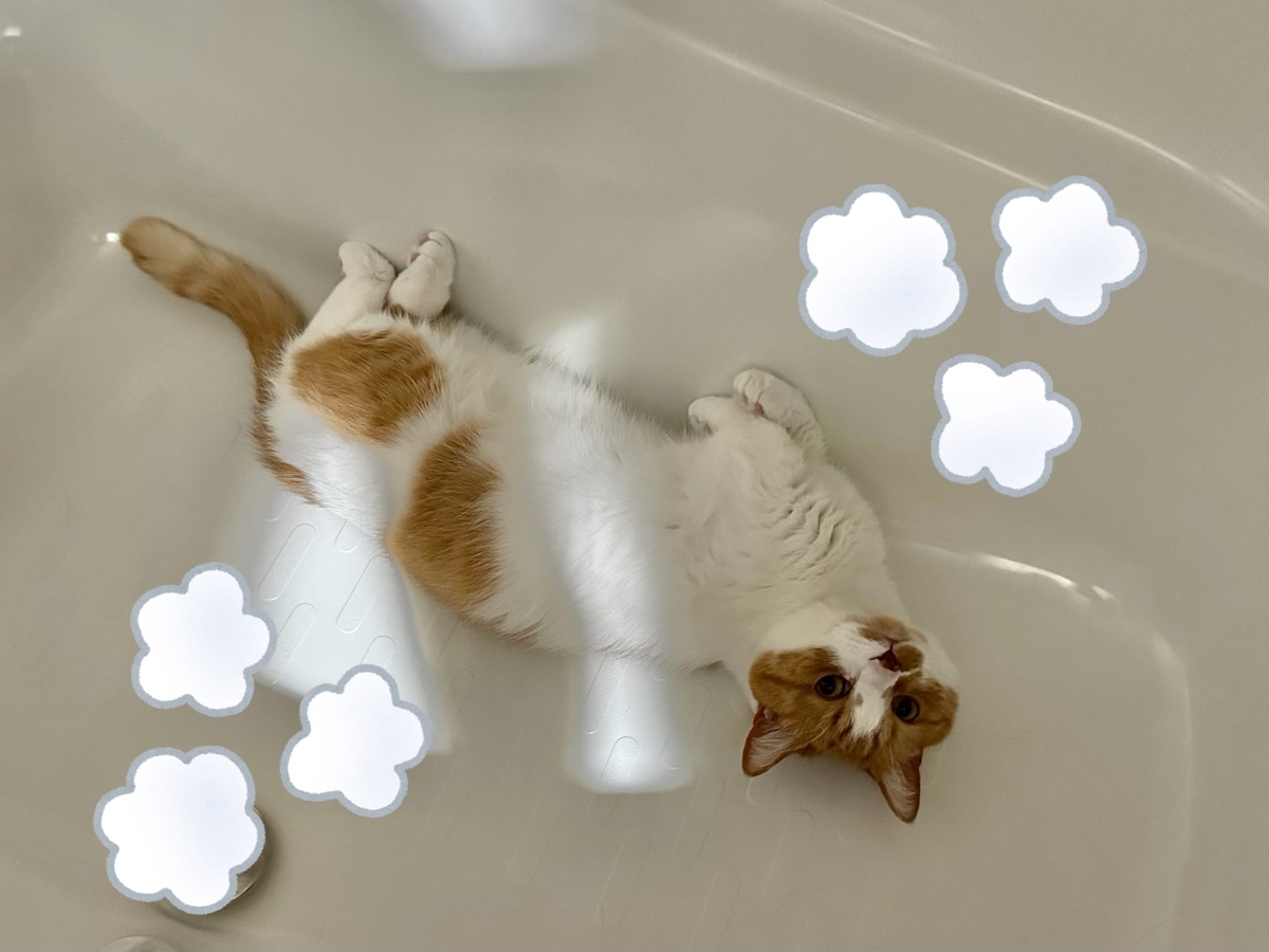 お風呂場のるるちゃん2