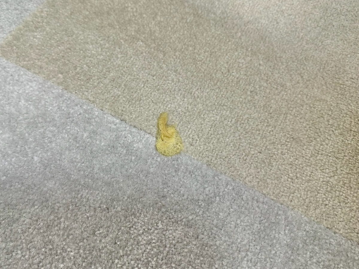 毛玉の吐き出し