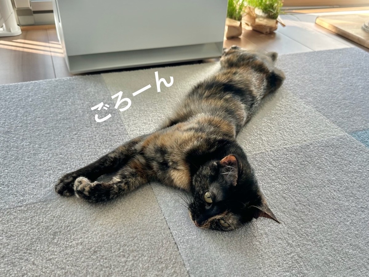 転がるもなちゃん