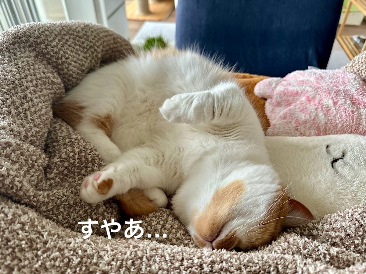 ぐっすりるるちゃん