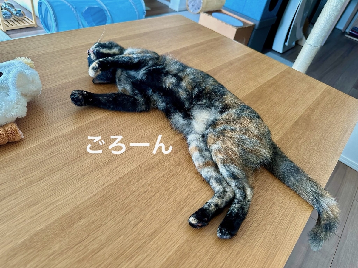 ぬけがらもなちゃん