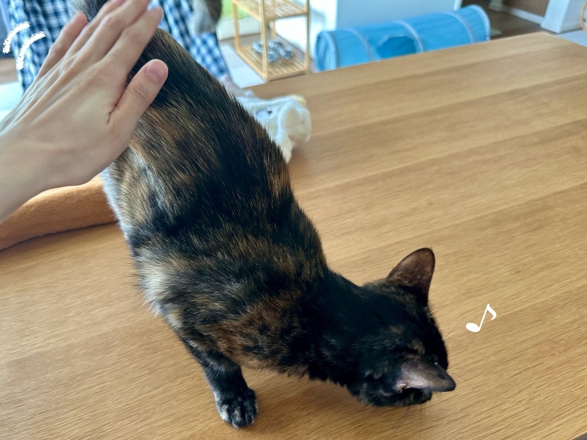 おしりトントンもなちゃん1