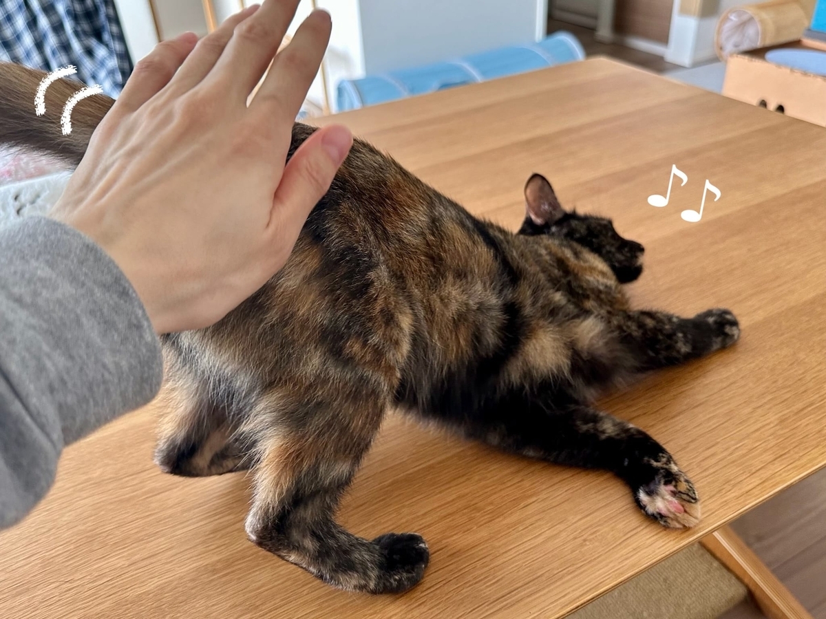 おしりトントンもなちゃん2