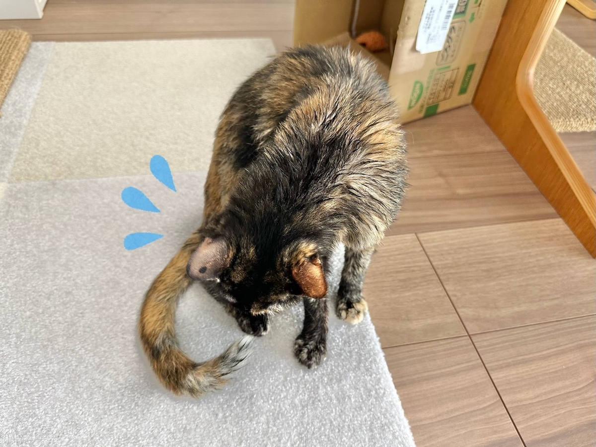 お風呂上がりのるるもな2