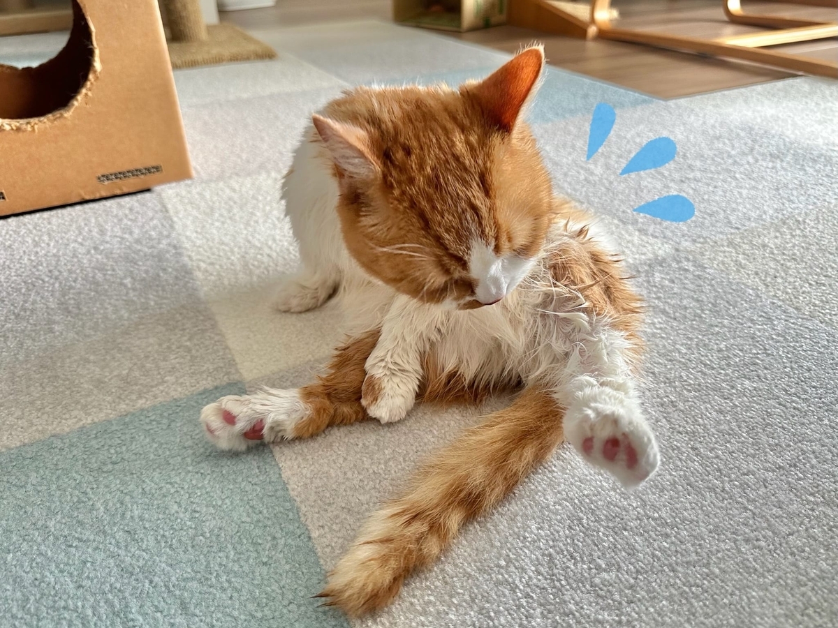 お風呂上がりのるるもな1