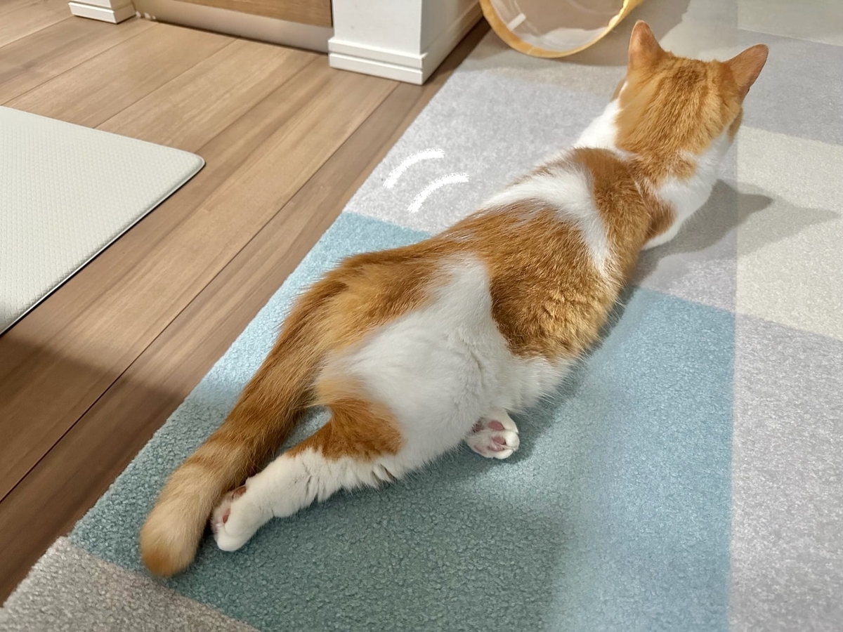 謎寝相のるるもな1