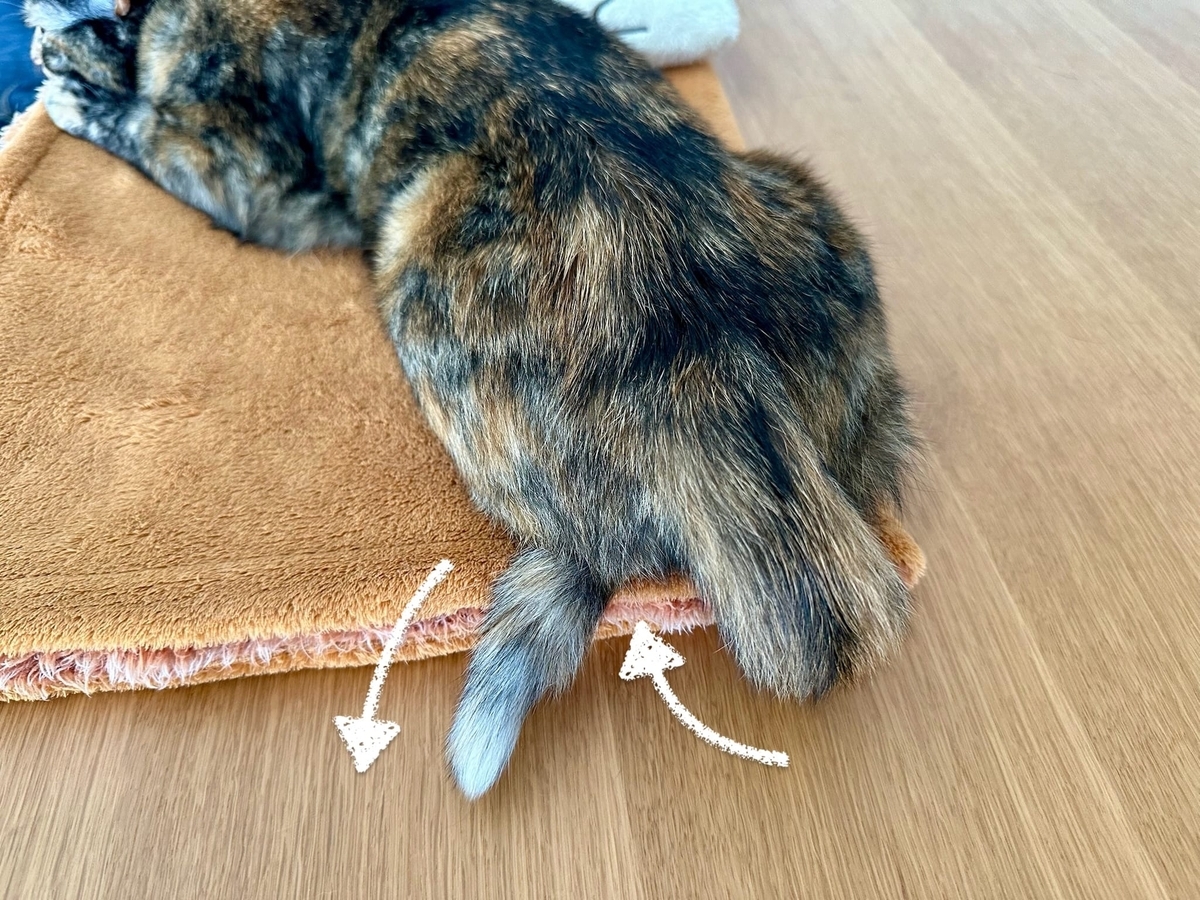 謎寝相のるるもな4