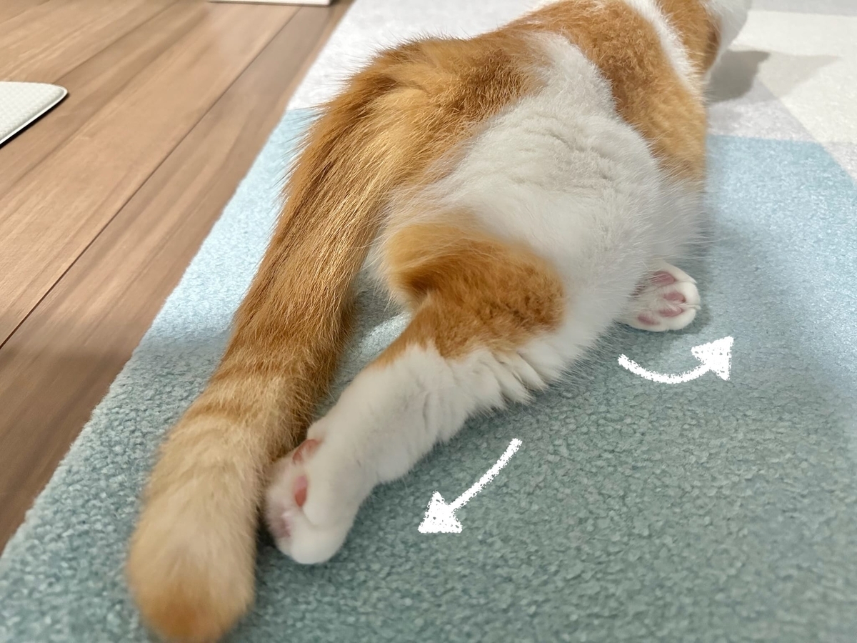 謎寝相のるるもな2