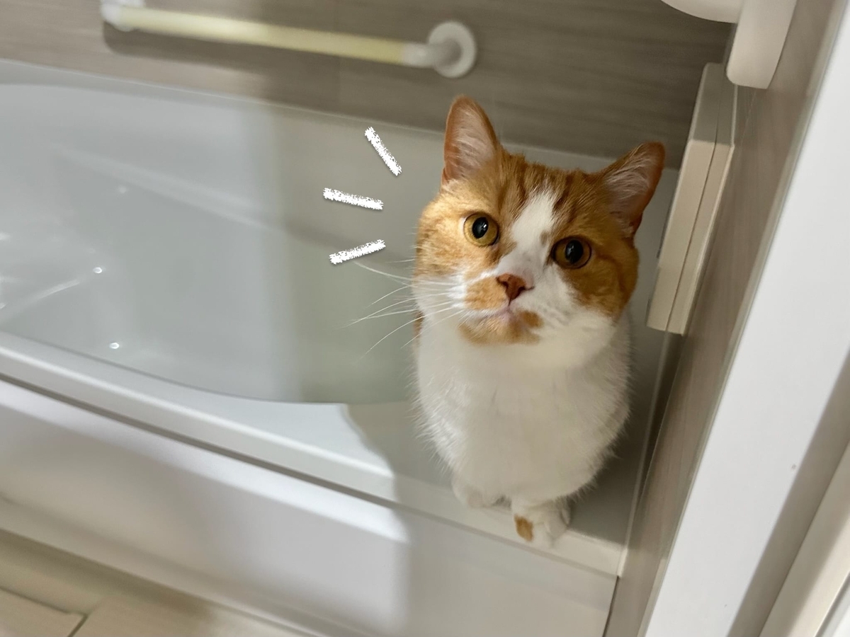 お風呂場のるるちゃん1