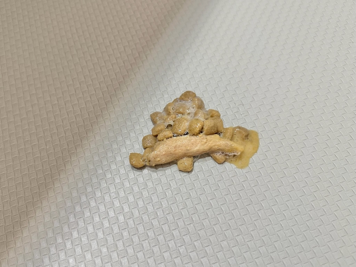 嘔吐物