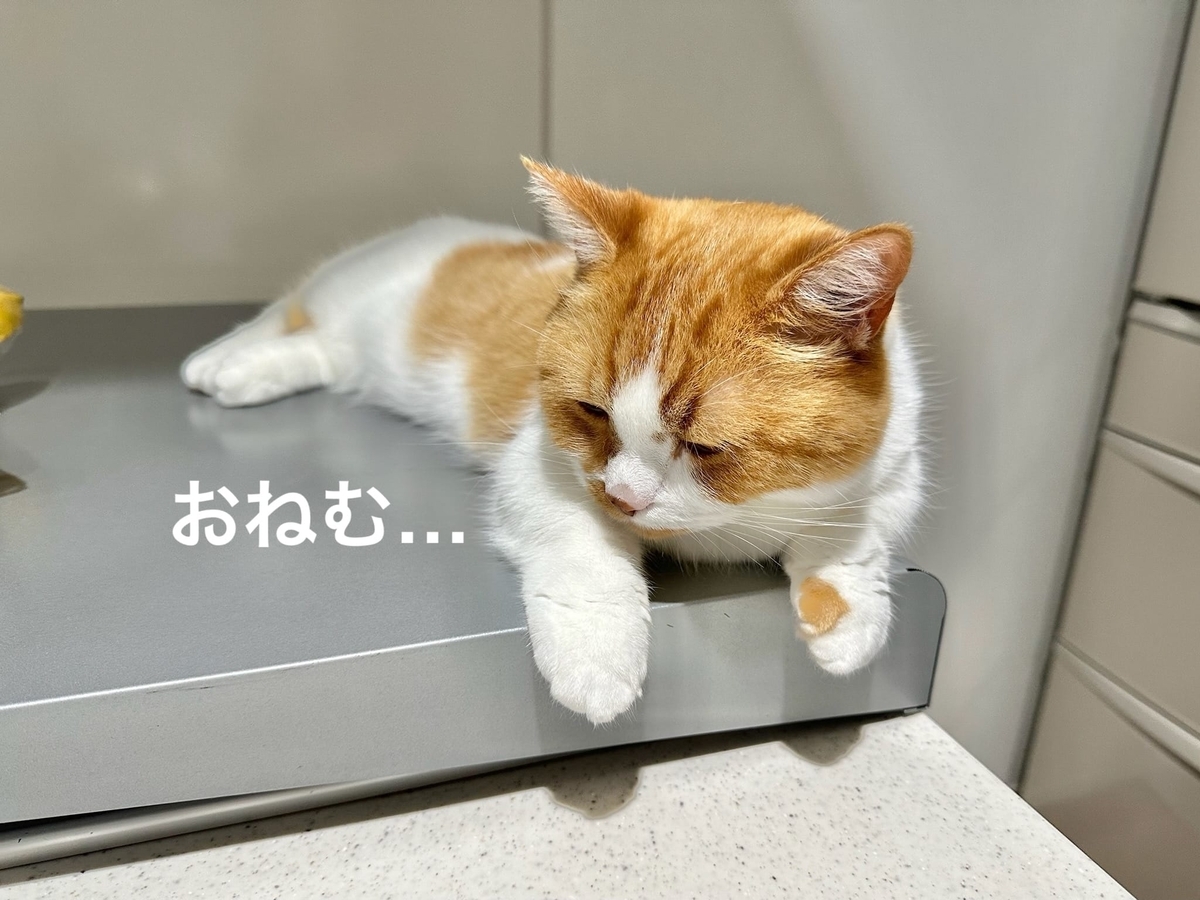 おねむるるちゃん