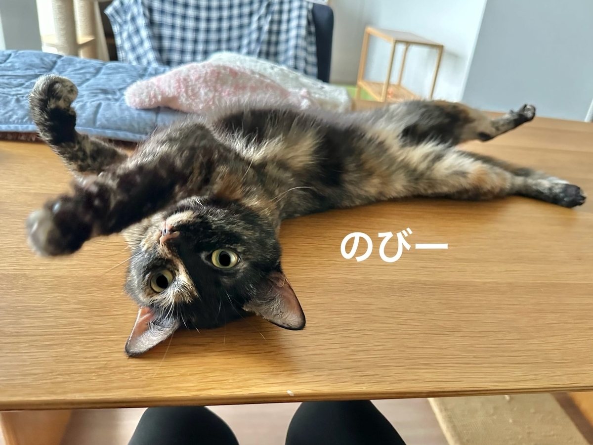 甘えん坊タイムのもなちゃん1