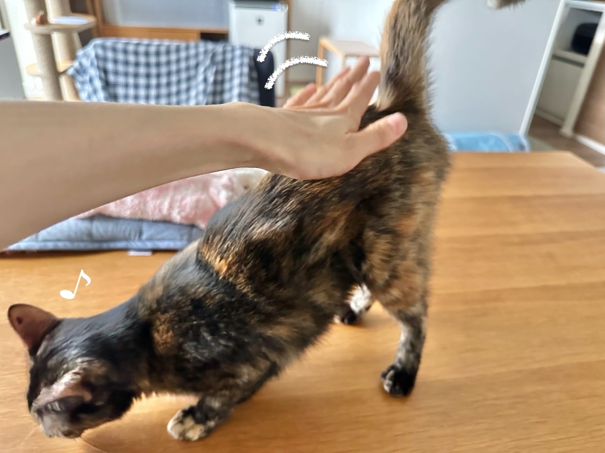 甘えん坊タイムのもなちゃん2