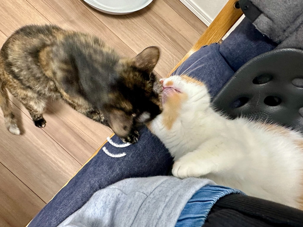 お鼻ちゅー2