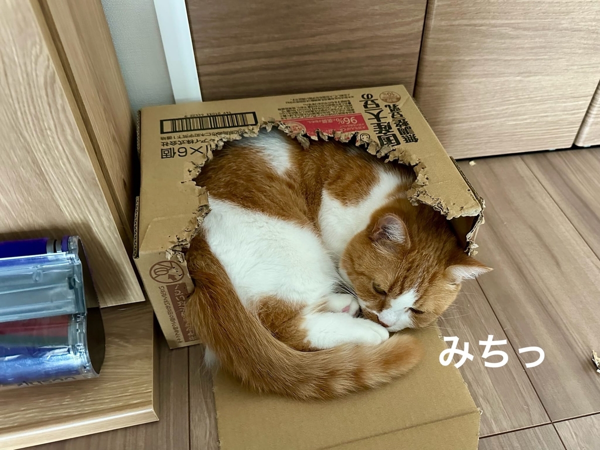 箱につまってるるるちゃん2