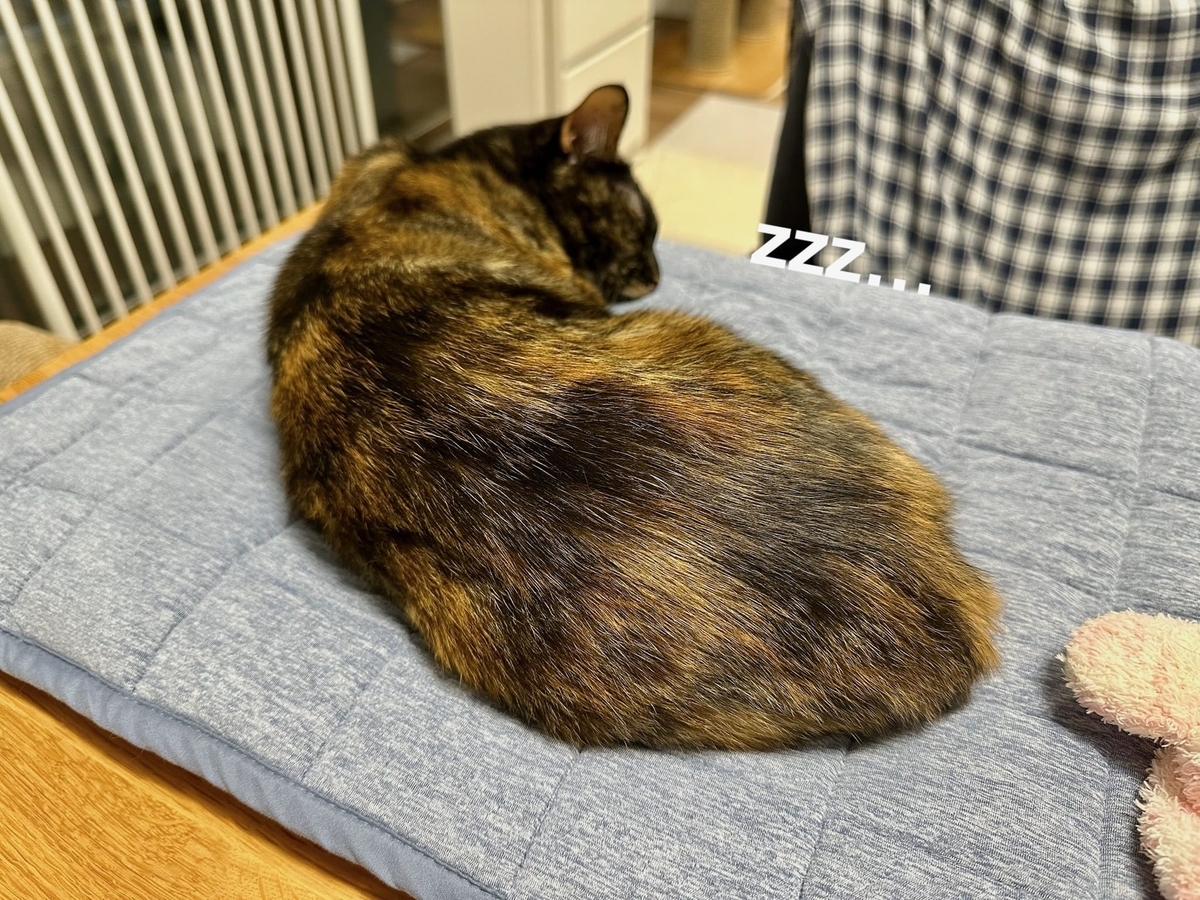 目の前のもなちゃん2